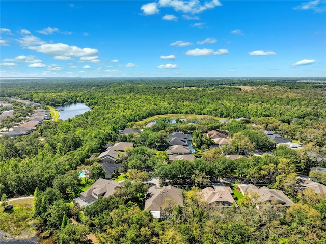 15930 Sorawater Dr, Lithia, FL 33547 - aerial perspective of suburban area featuring a forest and a nearby body of water