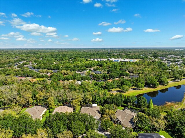 15930 Sorawater Dr, Lithia, FL 33547 - drone / aerial view of a forest and a nearby body of water