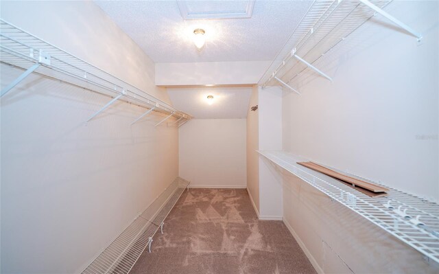 34527 Cedarfield Dr, Dade City, FL 33523 - photo 15