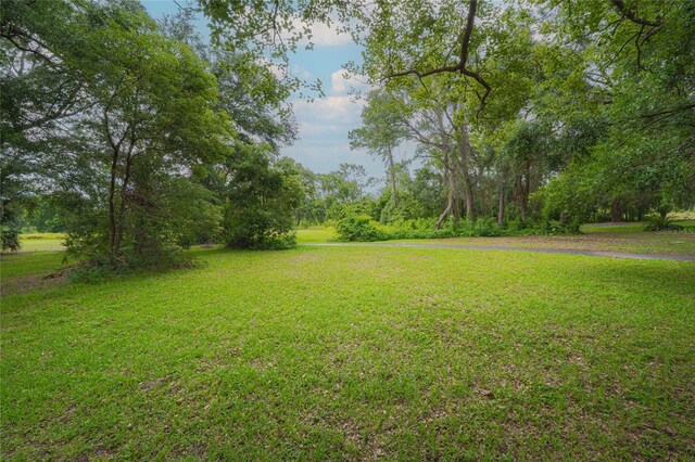 34527 Cedarfield Dr, Dade City, FL 33523 - photo 31