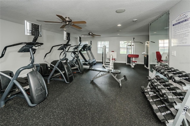 5094 Starfish Drive Se E, Saint Petersburg, FL 33705 - photo 41