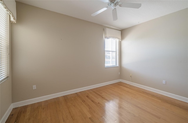 18002 Forest Retreat Ln, Tampa, FL 33647 - photo 81