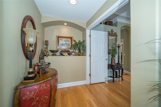 18002 Forest Retreat Ln, Tampa, FL 33647 - photo 31