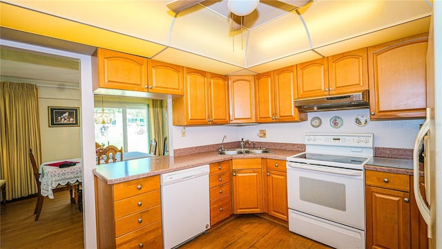 1655 S Highland Ave Unit F126, Clearwater, FL 33756 - kitchen featuring ceiling fan, white appliances, under cabinet range hood, a sink, and dark wood-style floors