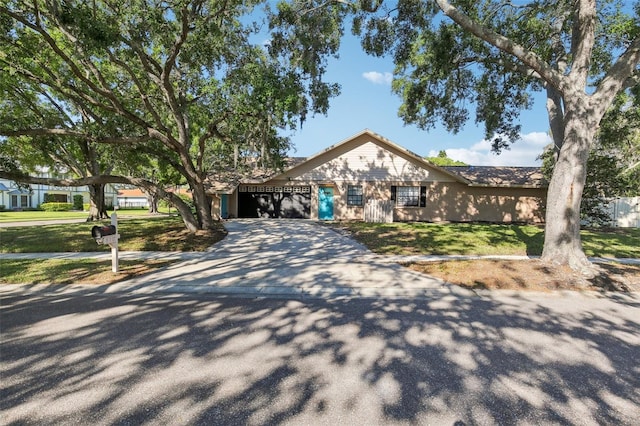 170 Foxfire Ln, Oldsmar, FL 34677 - ranch-style home with driveway and a front lawn