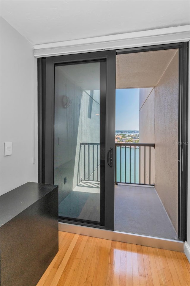 entryway featuring wood finished floors