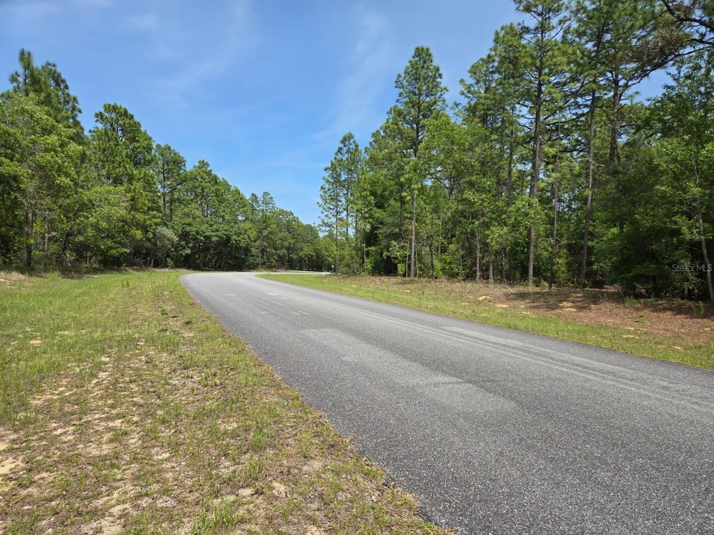 10804 N Adler Dr, Citrus Springs, FL 34434 - photo 2