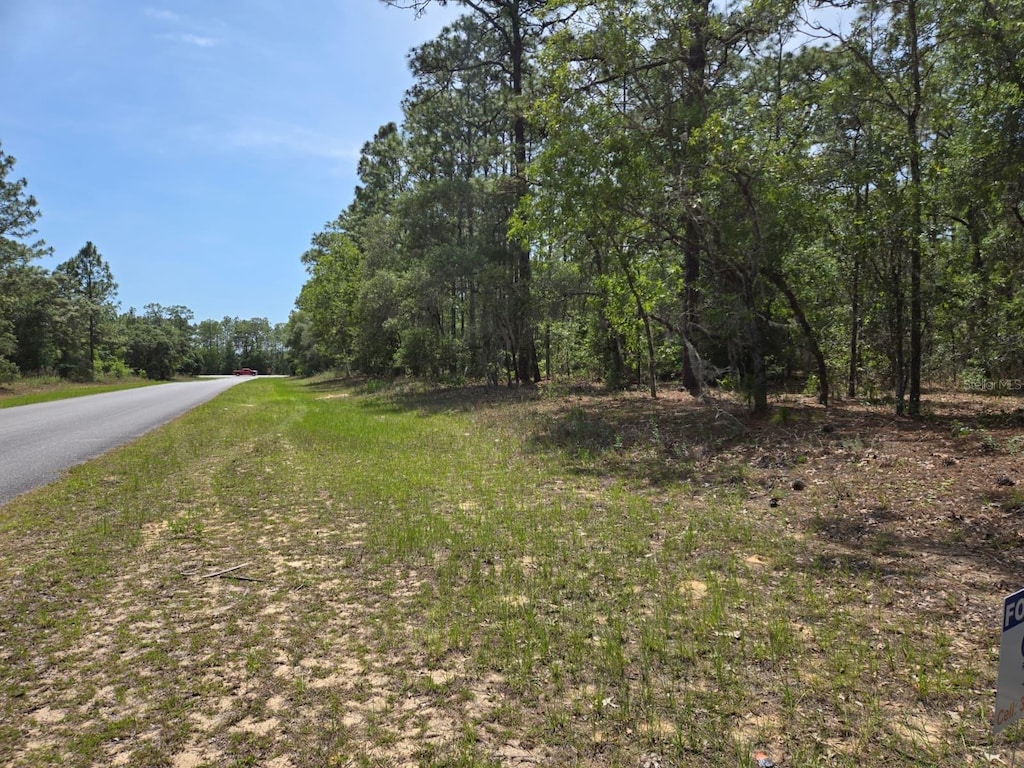 10804 N Adler Dr, Citrus Springs, FL 34434 - photo 3