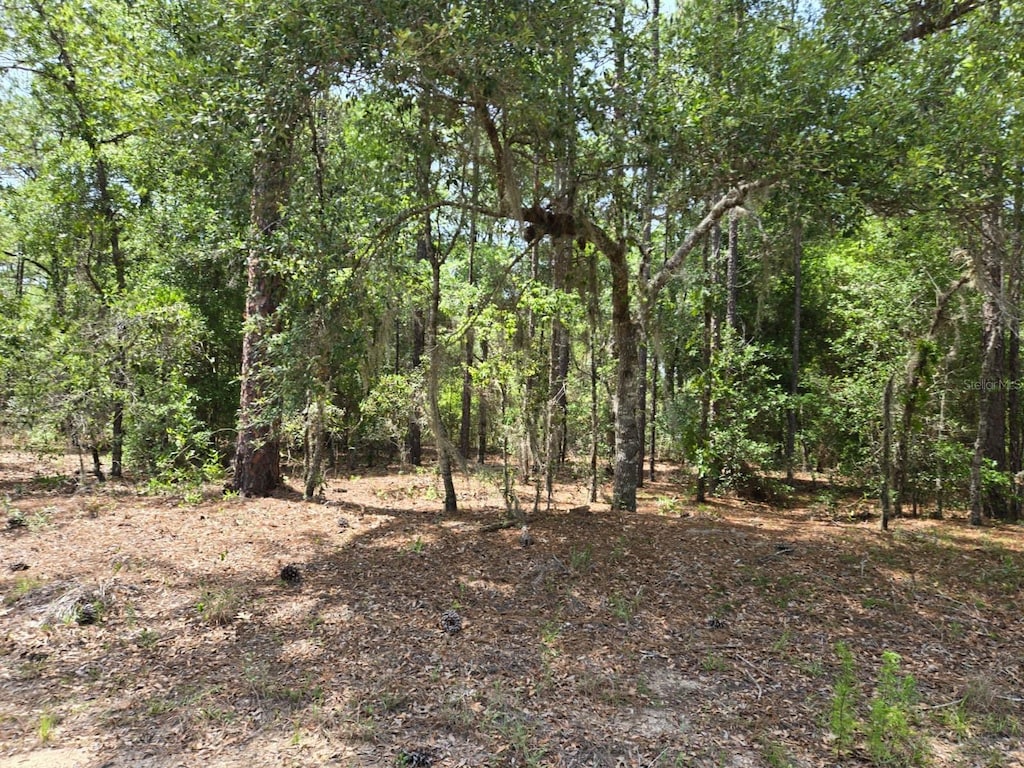 10804 N Adler Dr, Citrus Springs, FL 34434 - photo 4