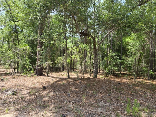 10804 N Adler Dr, Citrus Springs, FL 34434 - photo 4