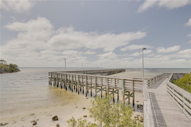 3633 Richboro Dr, Holiday, FL 34691 - photo 31