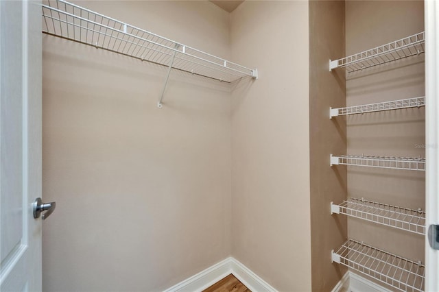 6451 Sunset Bay Cir, Apollo Beach, FL 33572 - view of spacious closet