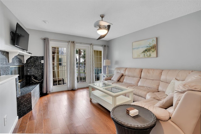 living room featuring wood finished floors and a fireplace