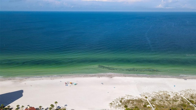 water view featuring a beach view