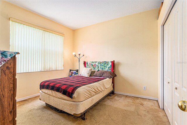 6130 Whimbrelwood Dr, Lithia, FL 33547 - carpeted bedroom with baseboards and a closet