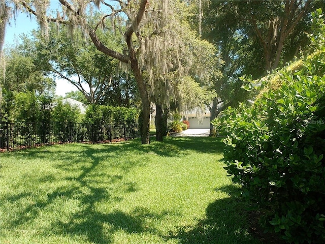 6130 Whimbrelwood Dr, Lithia, FL 33547 - view of yard