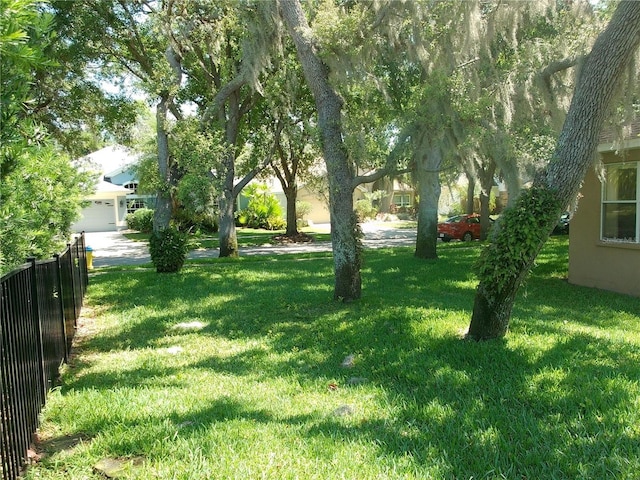 6130 Whimbrelwood Dr, Lithia, FL 33547 - view of yard