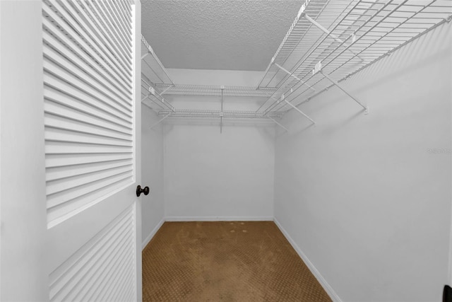 1969 Wolf Laurel Dr, Sun City Center, FL 33573 - spacious closet featuring carpet floors