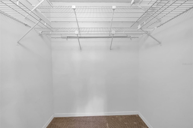 1969 Wolf Laurel Dr, Sun City Center, FL 33573 - spacious closet with carpet
