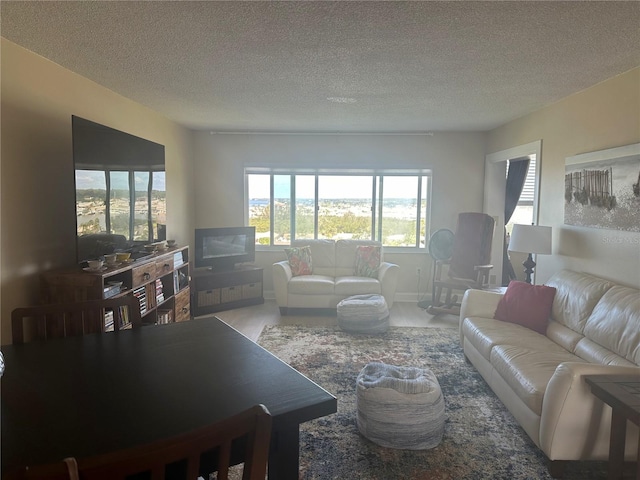 4725 Cove Cir Unit 810, Saint Petersburg, FL 33708 - living room featuring a textured ceiling