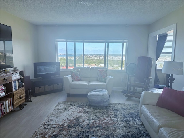 4725 Cove Cir Unit 810, Saint Petersburg, FL 33708 - living room with a textured ceiling, wood finished floors, and a healthy amount of sunlight