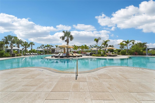 16709 Barnwood Pl, Bradenton, FL 34211 - community pool with a patio