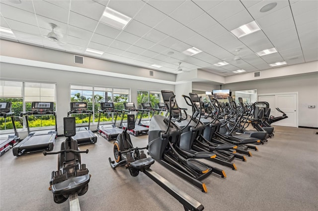 16709 Barnwood Pl, Bradenton, FL 34211 - exercise room featuring a paneled ceiling
