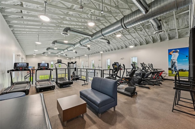 16709 Barnwood Pl, Bradenton, FL 34211 - gym with vaulted ceiling