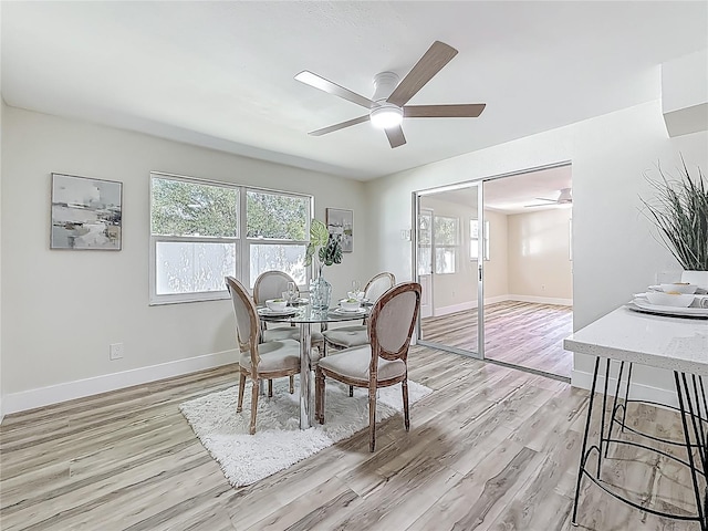 1469 S Hillcrest Ave, Clearwater, FL 33756 - dining area with a ceiling fan, light wood finished floors, plenty of natural light, and baseboards