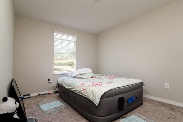 6534 Trent Creek Dr, Ruskin, FL 33573 - photo 22