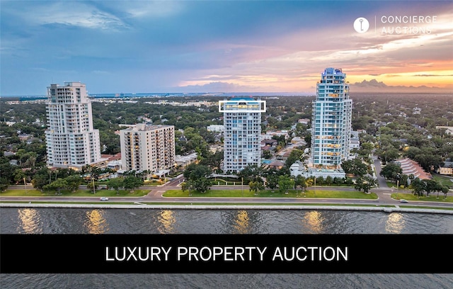 3435 Bayshore Blvd Unit 2100P, Tampa, FL 33629 - view of city with a nearby body of water