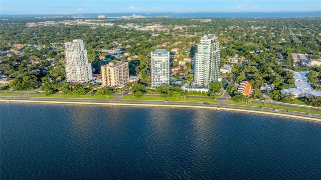 3435 Bayshore Blvd Unit 2100P, Tampa, FL 33629 - photo 45