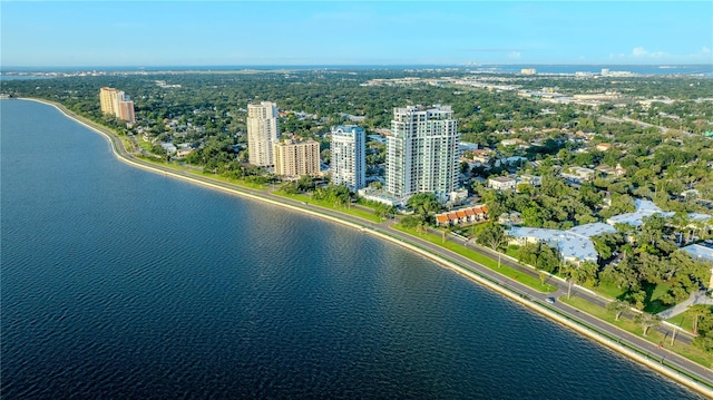 3435 Bayshore Blvd Unit 2100P, Tampa, FL 33629 - photo 46