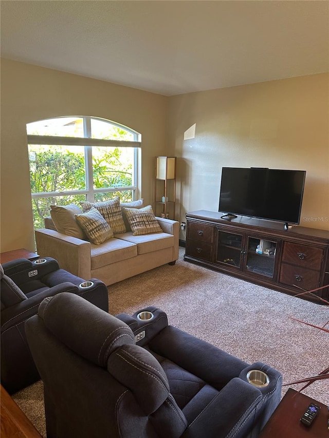living room featuring carpet flooring