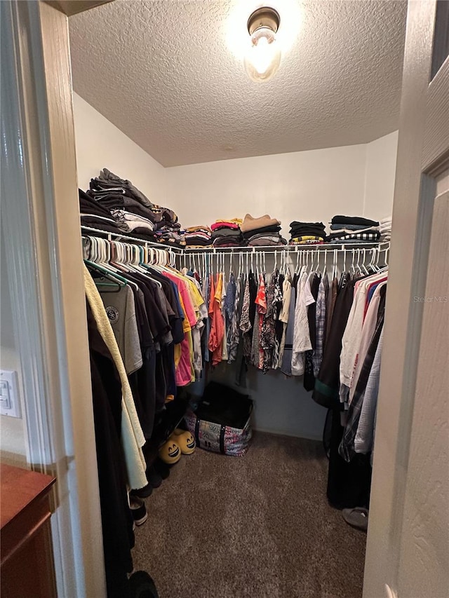 walk in closet featuring carpet floors