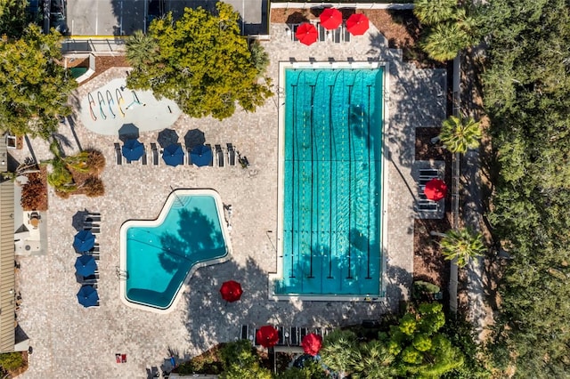 4769 Stoneview Cir, Oldsmar, FL 34677 - bird's eye view of a pool area