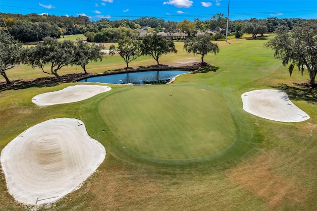 4769 Stoneview Cir, Oldsmar, FL 34677 - surrounding community with a water view, view of wooded area, golf course view, and a putting area