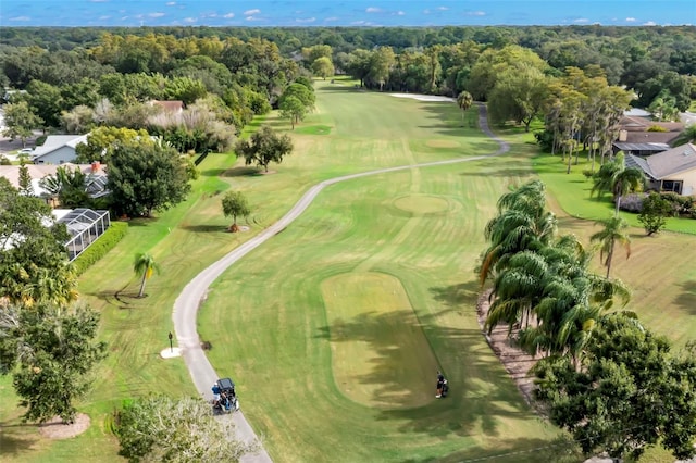 4769 Stoneview Cir, Oldsmar, FL 34677 - drone / aerial view of a golf course