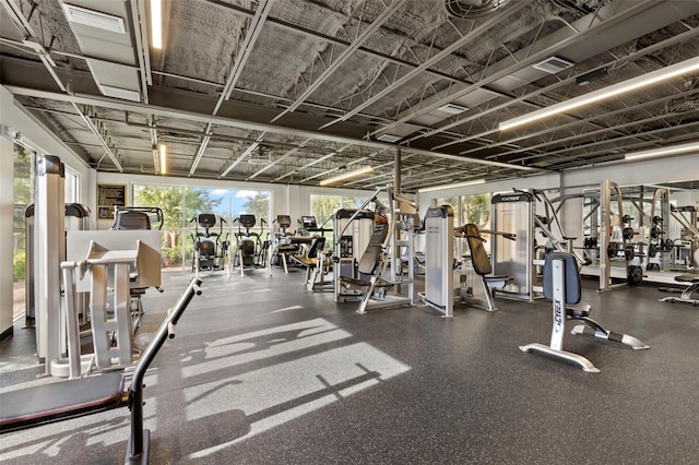 4769 Stoneview Cir, Oldsmar, FL 34677 - view of workout area