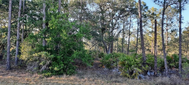 1012 Japonica Dr, Indian Lake Estates, FL 33855 - photo 1