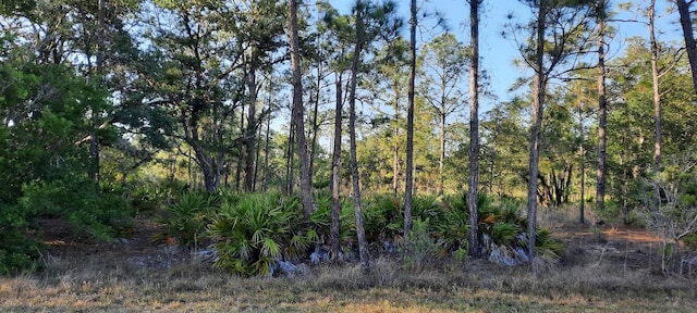 1012 Japonica Dr, Indian Lake Estates, FL 33855 - photo 3