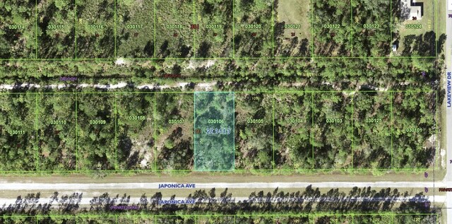 1012 Japonica Dr, Indian Lake Estates, FL 33855 - photo 4