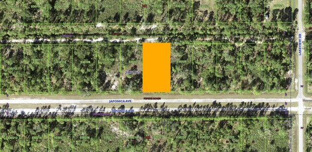 1012 Japonica Dr, Indian Lake Estates, FL 33855 - photo 6
