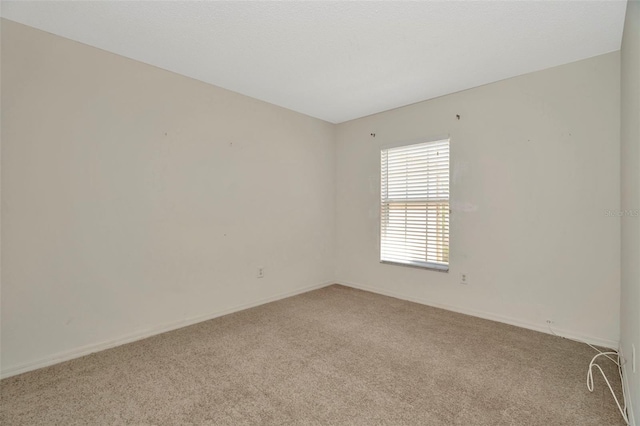 8013 Savannah Sunset Ln, Tampa, FL 33615 - unfurnished room with baseboards and carpet