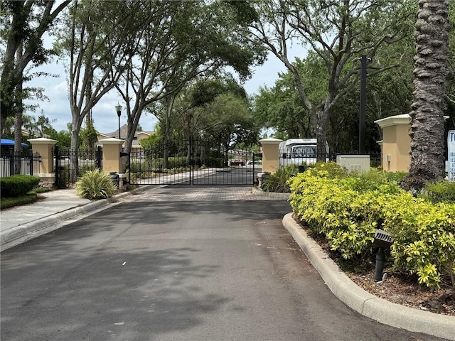 8013 Savannah Sunset Ln, Tampa, FL 33615 - view of road with a gated entry, street lighting, a gate, and curbs