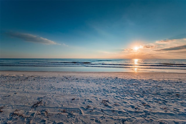 18201 Gulf Blvd Unit 201, Redington Shores, FL 33708 - photo 32