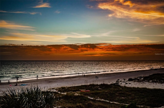18201 Gulf Blvd Unit 201, Redington Shores, FL 33708 - photo 36