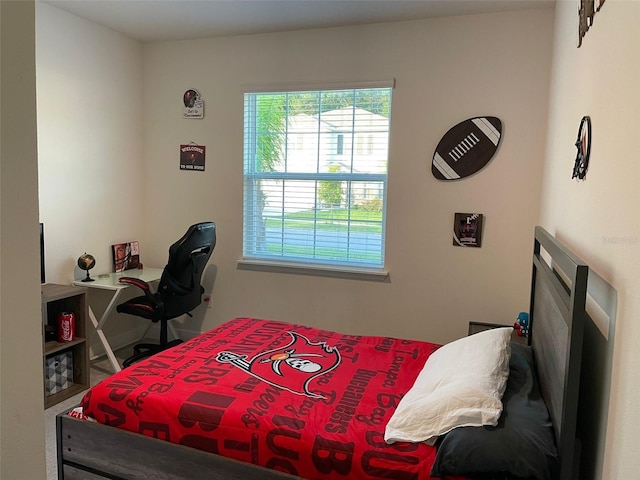 33034 Sand Creek Dr, Wesley Chapel, FL 33543 - view of bedroom