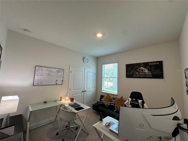 33034 Sand Creek Dr, Wesley Chapel, FL 33543 - office area with carpet floors