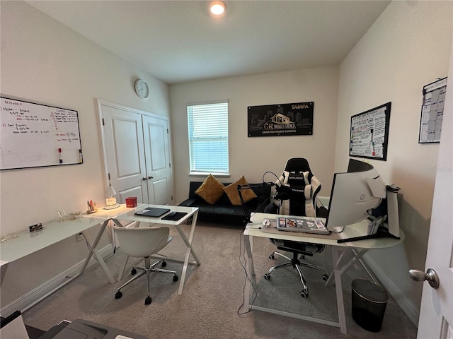 33034 Sand Creek Dr, Wesley Chapel, FL 33543 - carpeted office space with baseboards